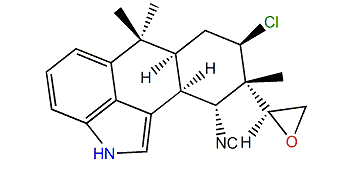 Hapalindole P